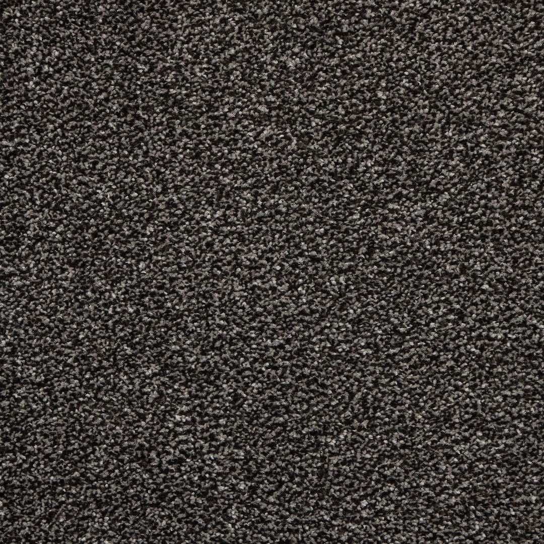 StainFree Affluence Carpet