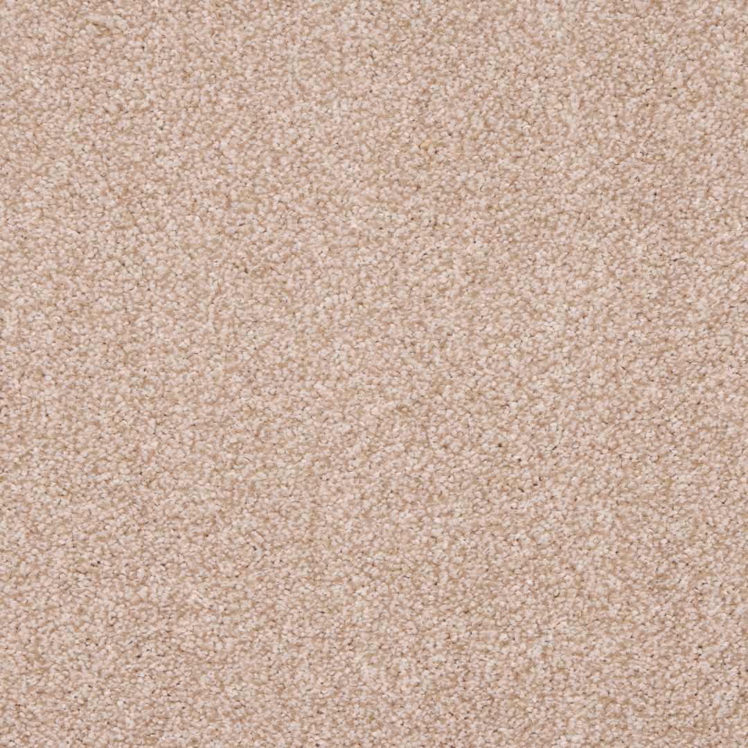 StainFree Affluence Carpet