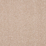 StainFree Affluence Carpet