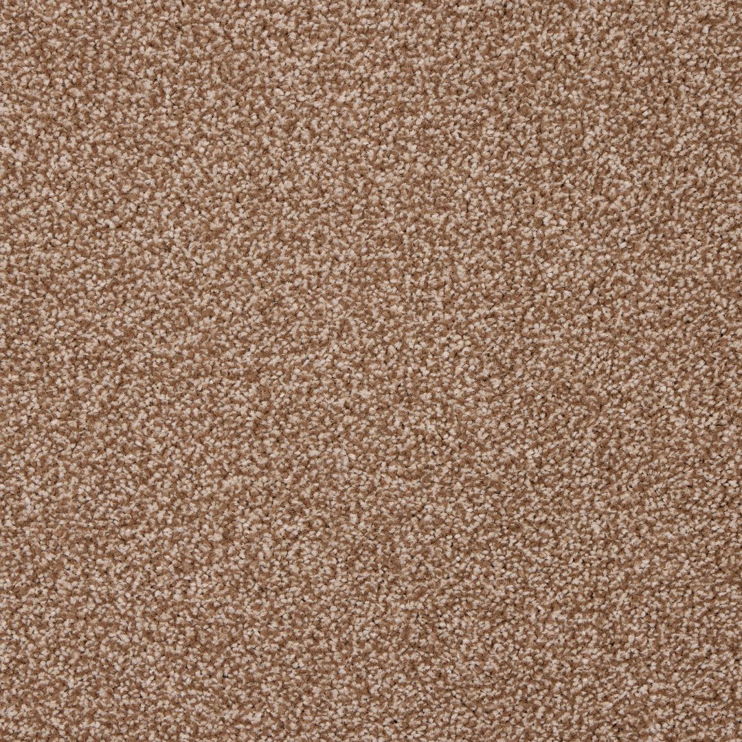 StainFree Affluence Carpet