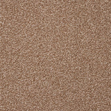 StainFree Affluence Carpet