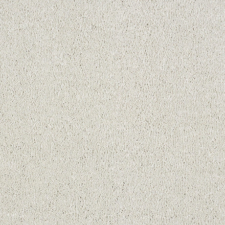 Abingdon Stainfree Indulgence - Cool Mist Carpet – by Abingdon Flooring – 1