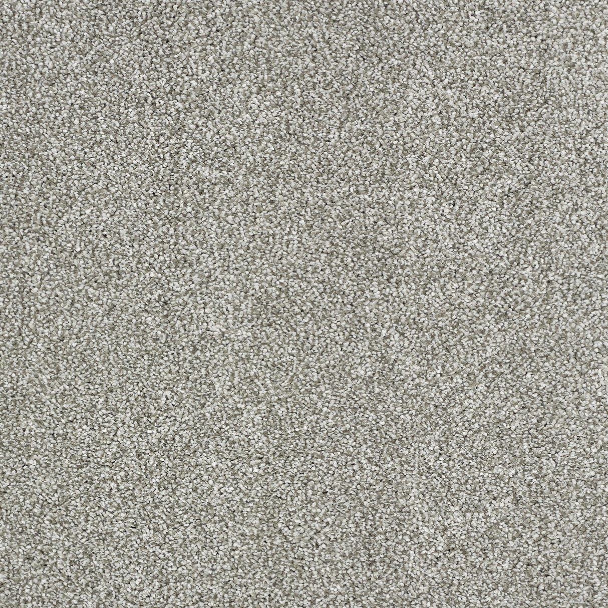 Abingdon Stainfree Indulgence - Dove Grey Carpet