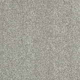 Abingdon Stainfree Indulgence - Dove Grey Carpet