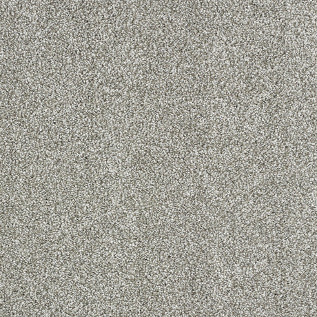 Abingdon Stainfree Indulgence - Dove Grey Carpet – by Abingdon Flooring – 1