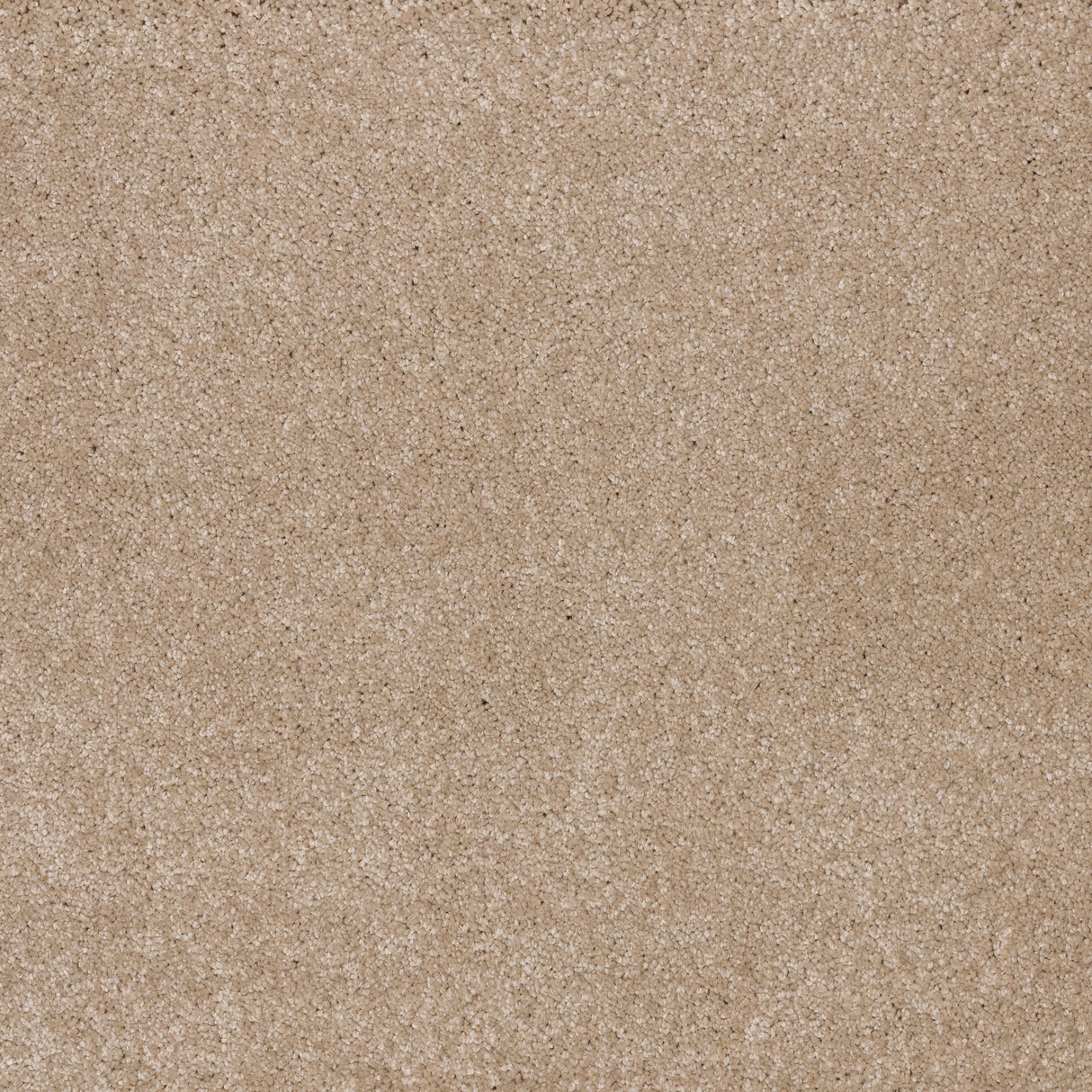 Ibexx Dreamy Delight luxury deep pile carpet for bedrooms in Cloud
