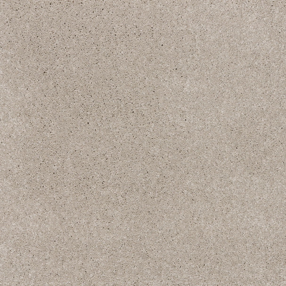 Ibexx Dreamy Delight luxury deep pile carpet in Cloud