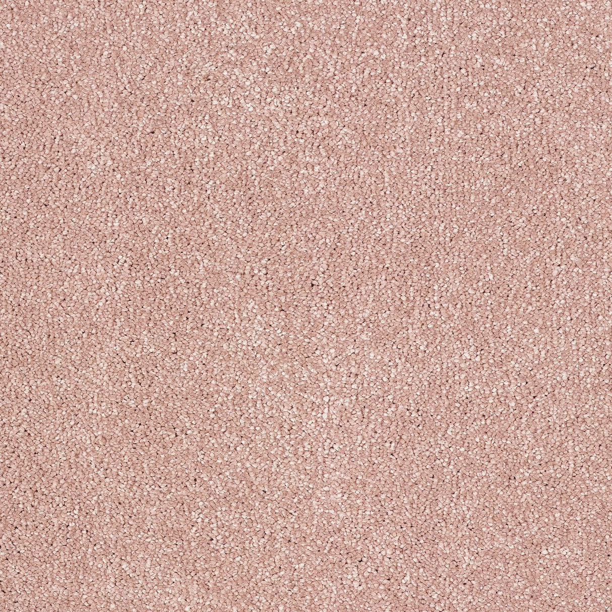 Abingdon Stainfree Indulgence - Dusky Pink Carpet – by Abingdon Flooring – 1