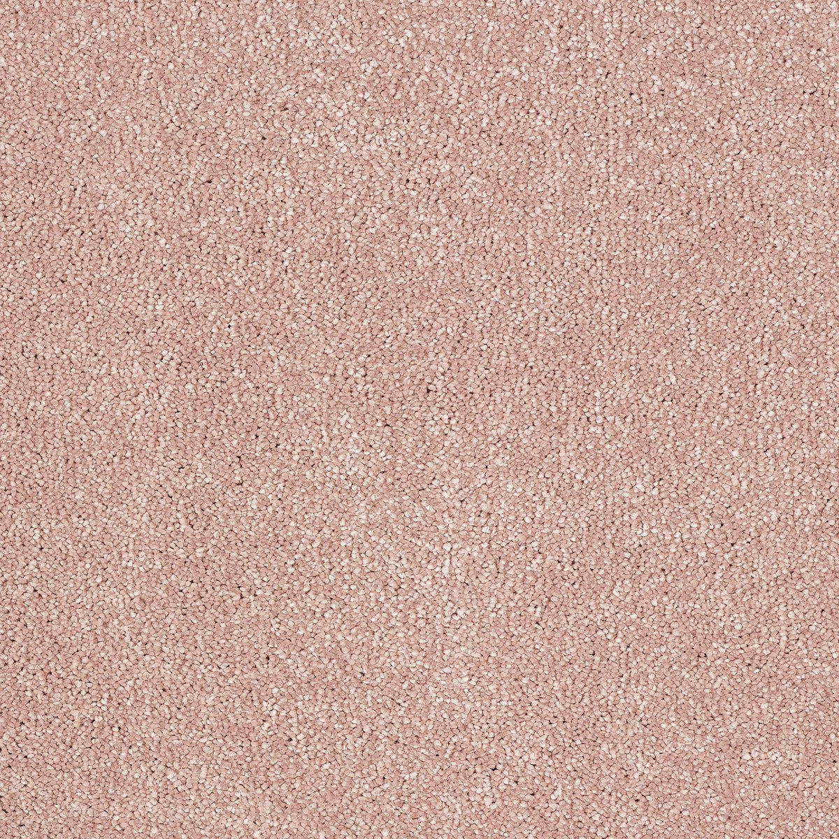 Abingdon Stainfree Indulgence - Dusky Pink Carpet– Direct Carpet Centre