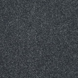 Abingdon Stainfree Caress - Ebony Carpet