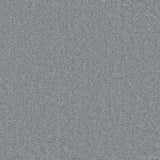 Enchantment Luxe Carpet