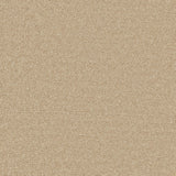 Enchantment Luxe Carpet