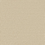 Enchantment Luxe Carpet