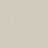 Enchantment Luxe Carpet