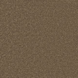 Enchantment Luxe Carpet