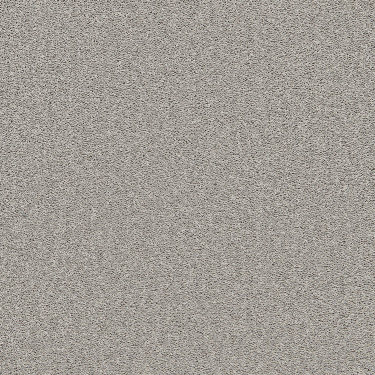 Enchantment Luxe Carpet