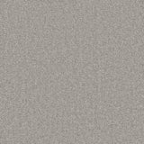 Enchantment Luxe Carpet