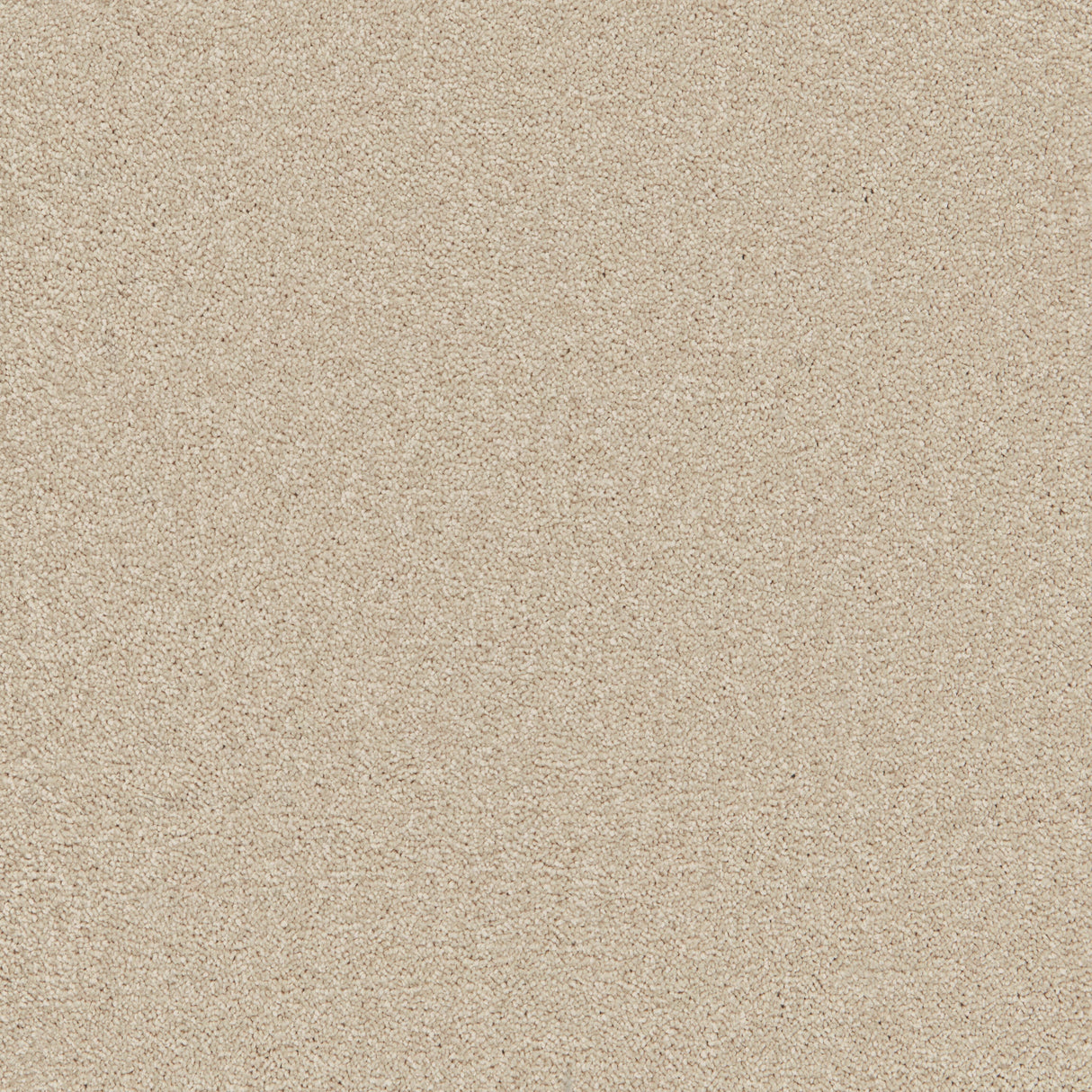 Enchantment Luxe Carpet