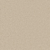 Enchantment Luxe Carpet