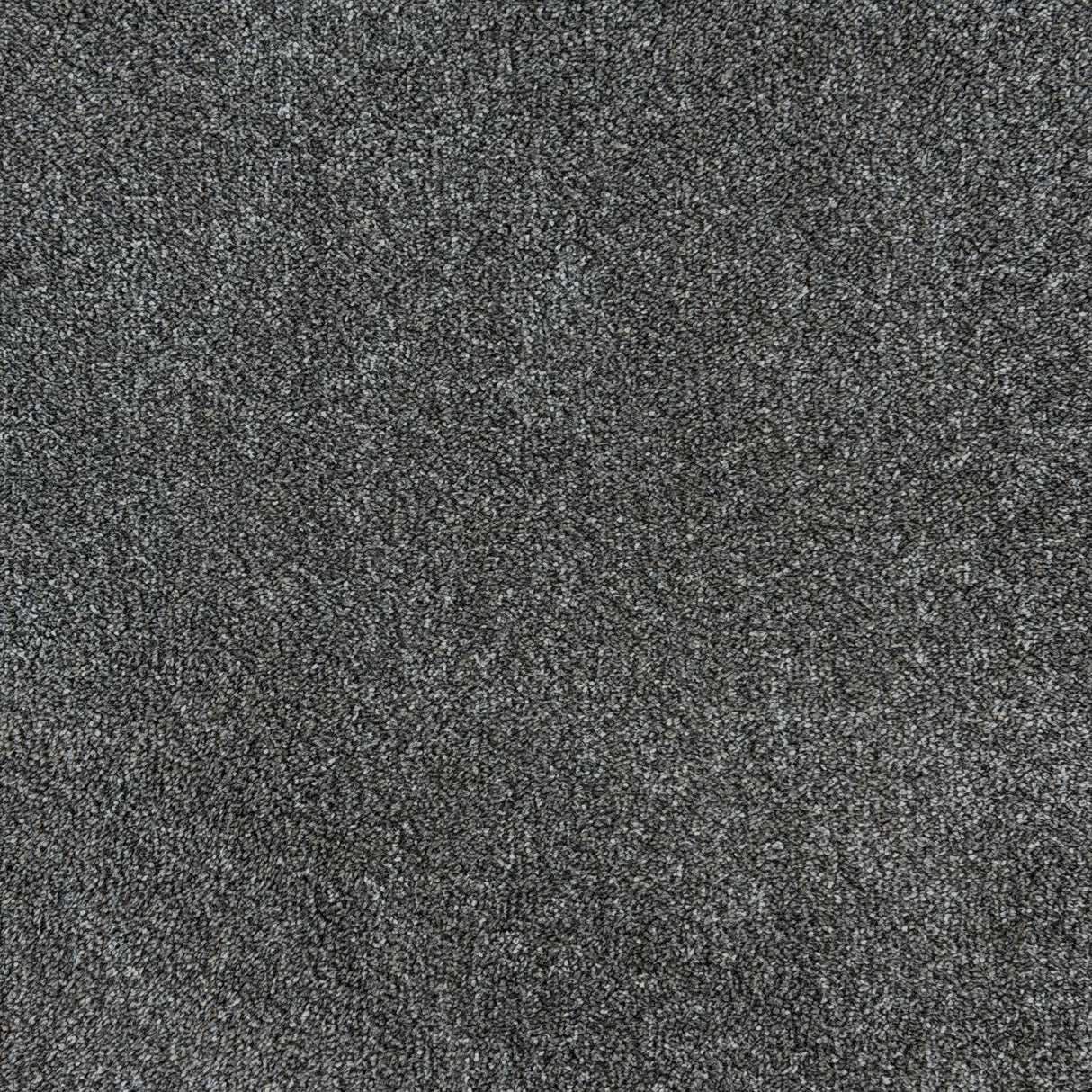 Kellars Excellence heavyweight twist carpet in 075 Graphite