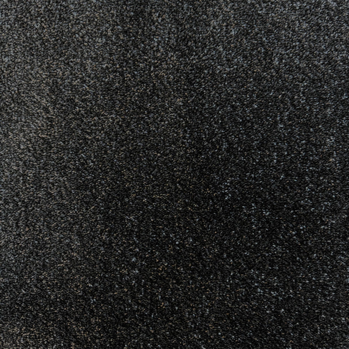 Kellars Excellence heavyweight twist carpet shown in 075 Graphite