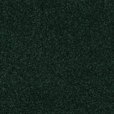 StainFree Caress Carpet