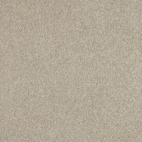 Euphoria Saxony - Feather Carpet – by Abingdon Flooring – 1