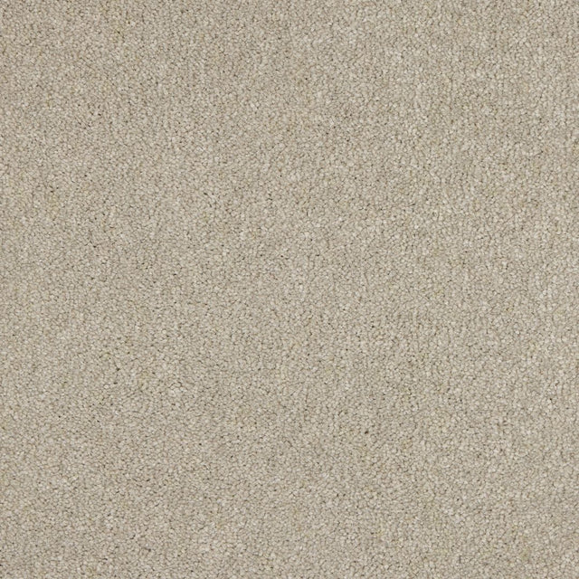 Euphoria Saxony - Feather Carpet – by Abingdon Flooring – 1