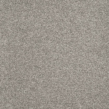 Furlongs Aria - Mist Carpet – by Furlong Flooring – 1