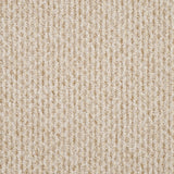 Furlongs Dakar - Conque Carpet – by Furlong Flooring – 1