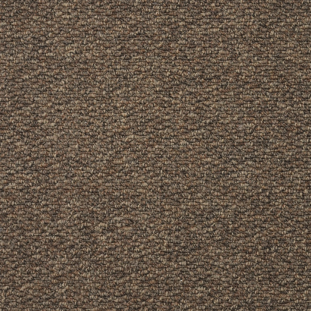 Furlongs Mali - Coffee Carpet – by Furlong Flooring – 1