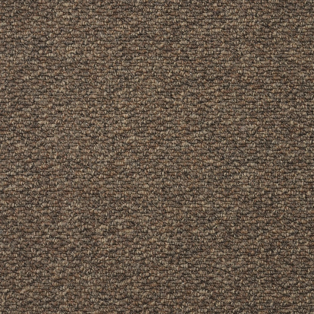 Furlongs Mali - Coffee Carpet – by Furlong Flooring – 1