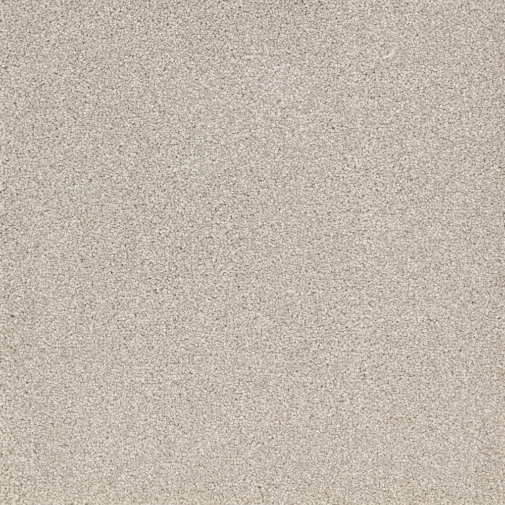 Furlongs Satisfaction Moods - Bleachstone Carpet – by Furlong Flooring – 1