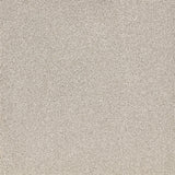 Furlongs Satisfaction Moods - Bleachstone Carpet – by Furlong Flooring – 1