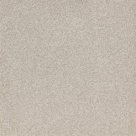 Furlongs Satisfaction Moods - Bleachstone Carpet – by Furlong Flooring – 1
