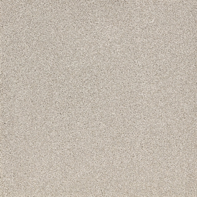 Furlongs Satisfaction Moods - Bleachstone Carpet – by Furlong Flooring – 1