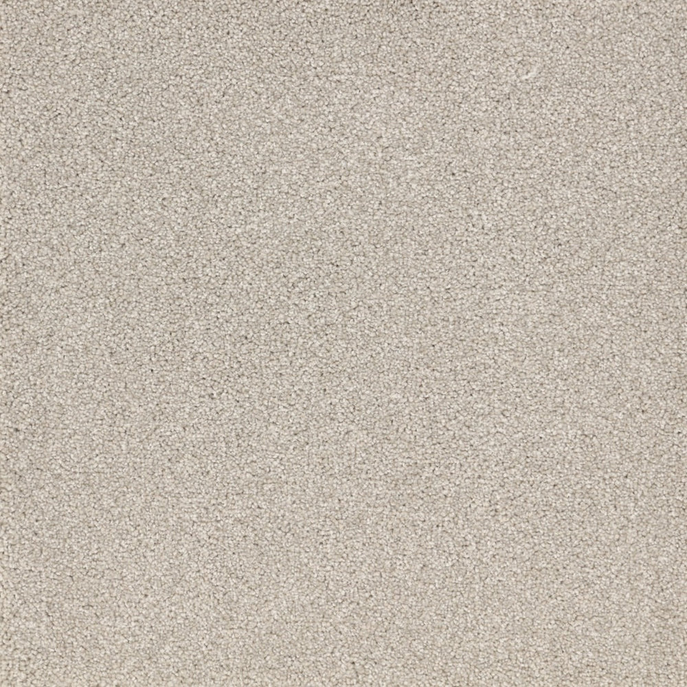 Satisfaction Moods Carpet