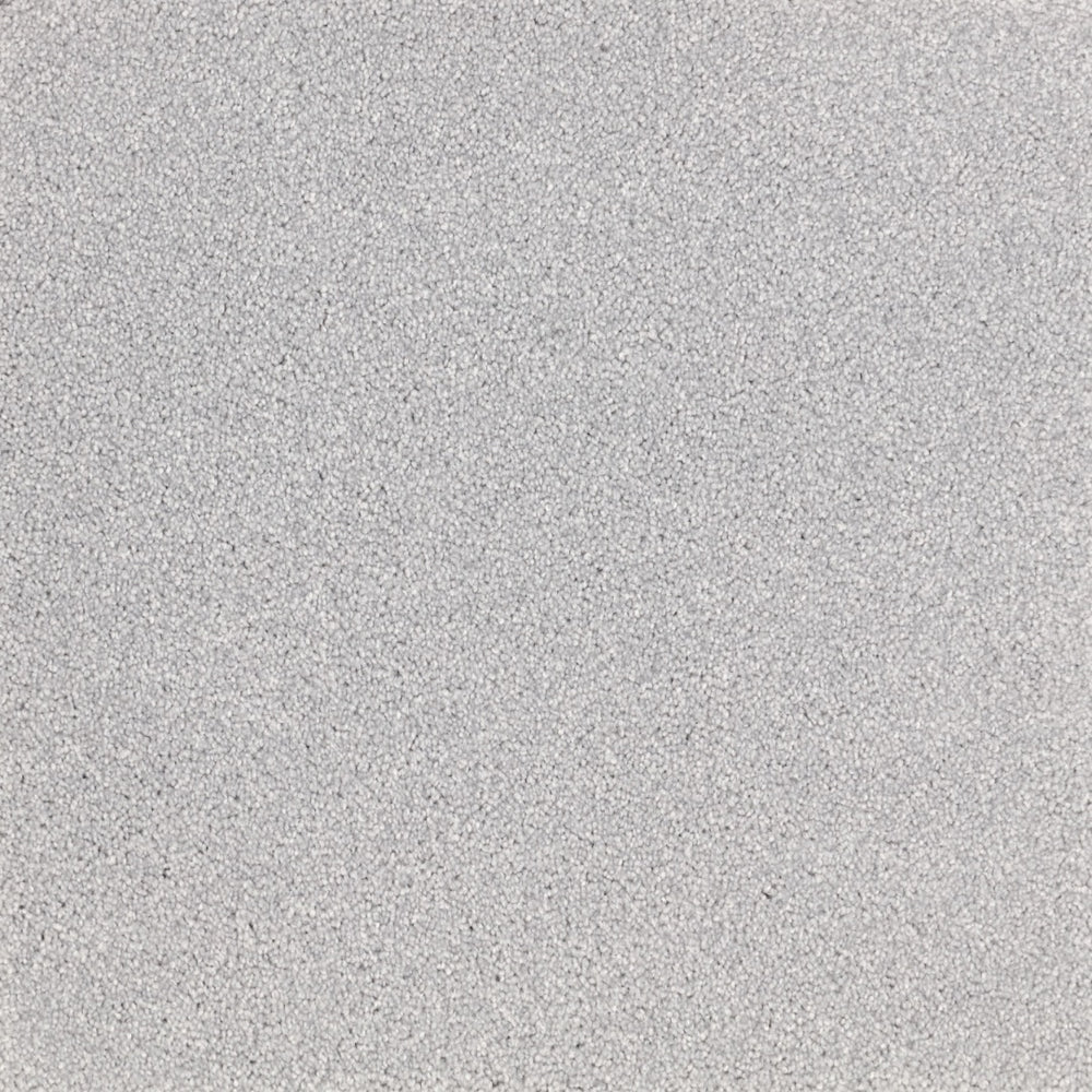 Furlongs Satisfaction Moods - Geyser Carpet – by Furlong Flooring – 1