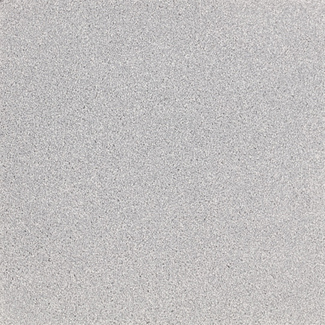 Premium furlong Satisfaction Moods saxony carpet in Titanium