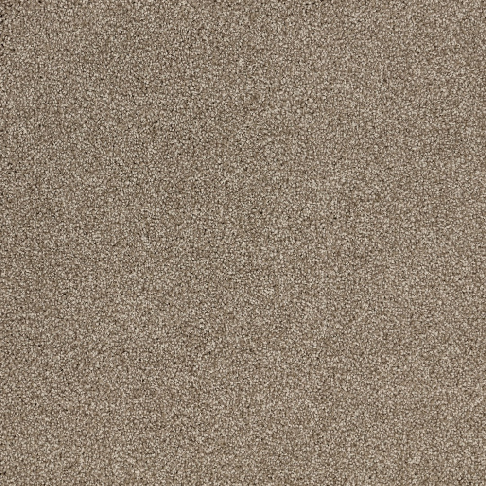 Furlongs Satisfaction Moods - Glacier Carpet – by Furlong Flooring – 1
