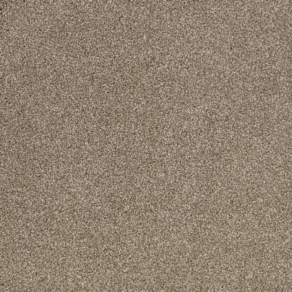 Satisfaction Moods Carpet