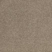 Furlong Satisfaction Moods saxony carpet, soft underfoot in Titanium