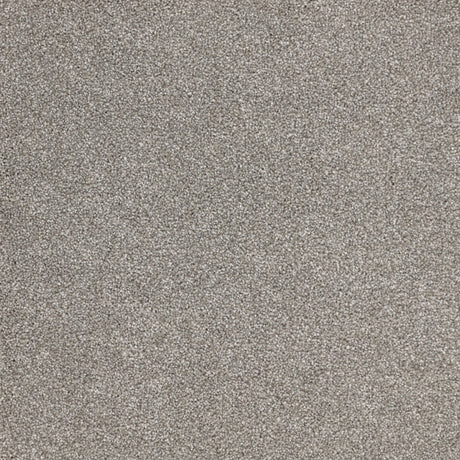 Furlongs Satisfaction Moods - Inox Carpet – by Furlong Flooring – 1