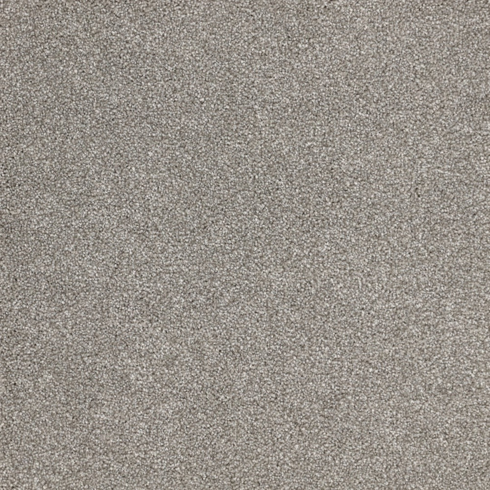 Satisfaction Moods Carpet