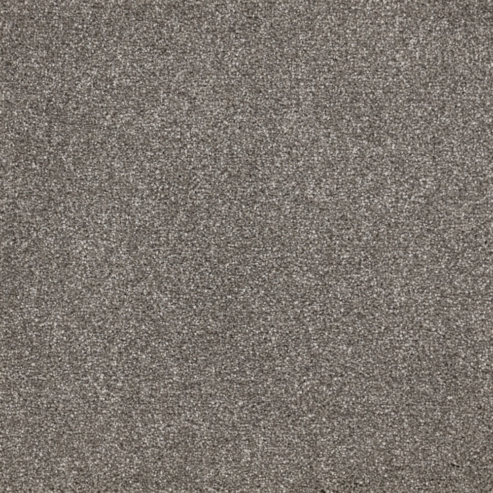 Furlongs Satisfaction Moods - Mist Carpet – by Furlong Flooring – 1
