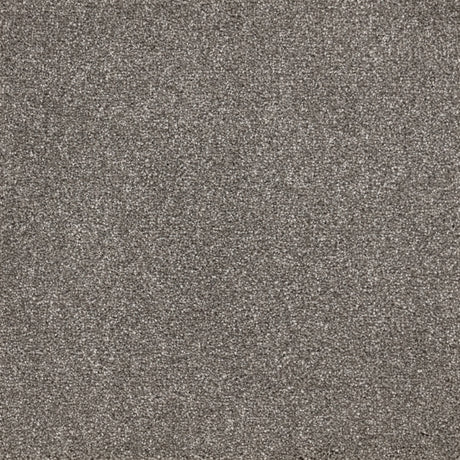 Furlongs Satisfaction Moods - Mist Carpet – by Furlong Flooring – 1