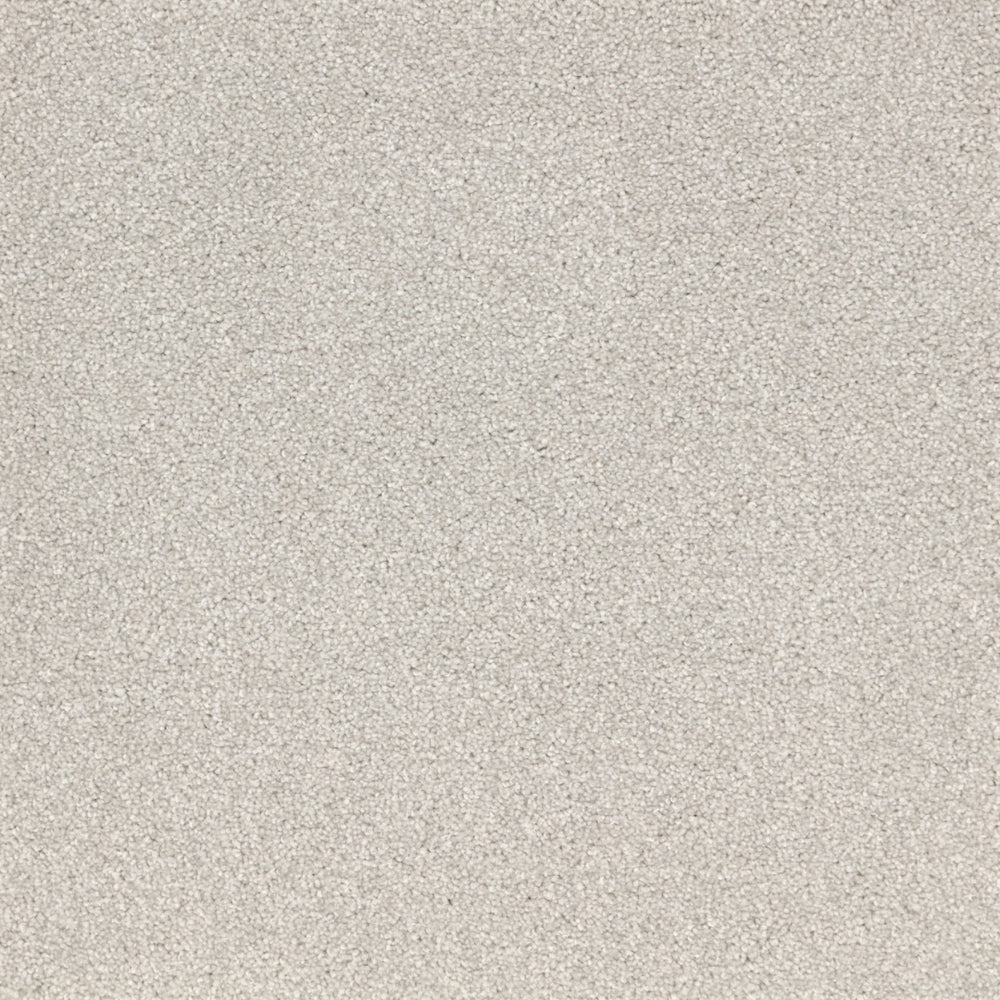 Furlongs Satisfaction Moods - Nuage Carpet – by Furlong Flooring – 1