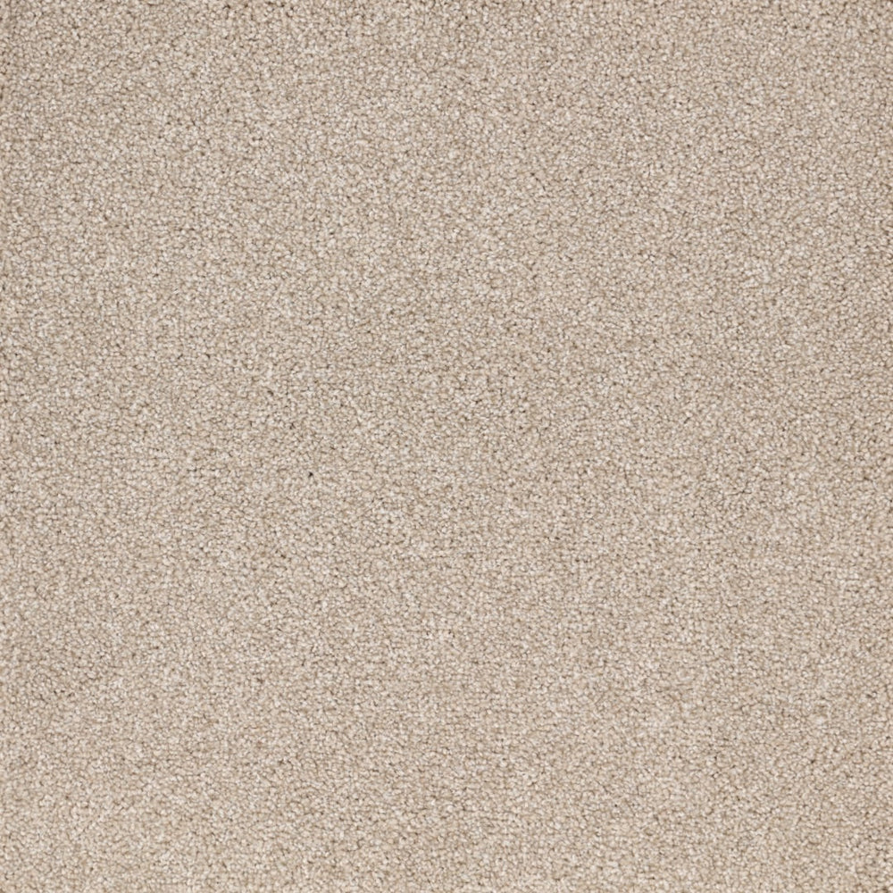 Satisfaction Moods Carpet