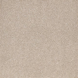 Satisfaction Moods Carpet