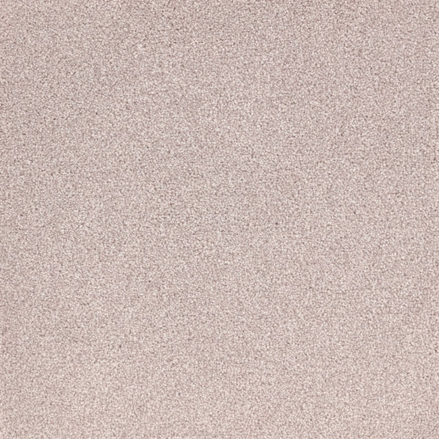 Furlongs Satisfaction Moods - Pale Rose Carpet – by Furlong Flooring – 1